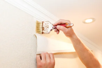 Pose de papier peint à Faux-la-Montagne — revêtements muraux et toiles de verre